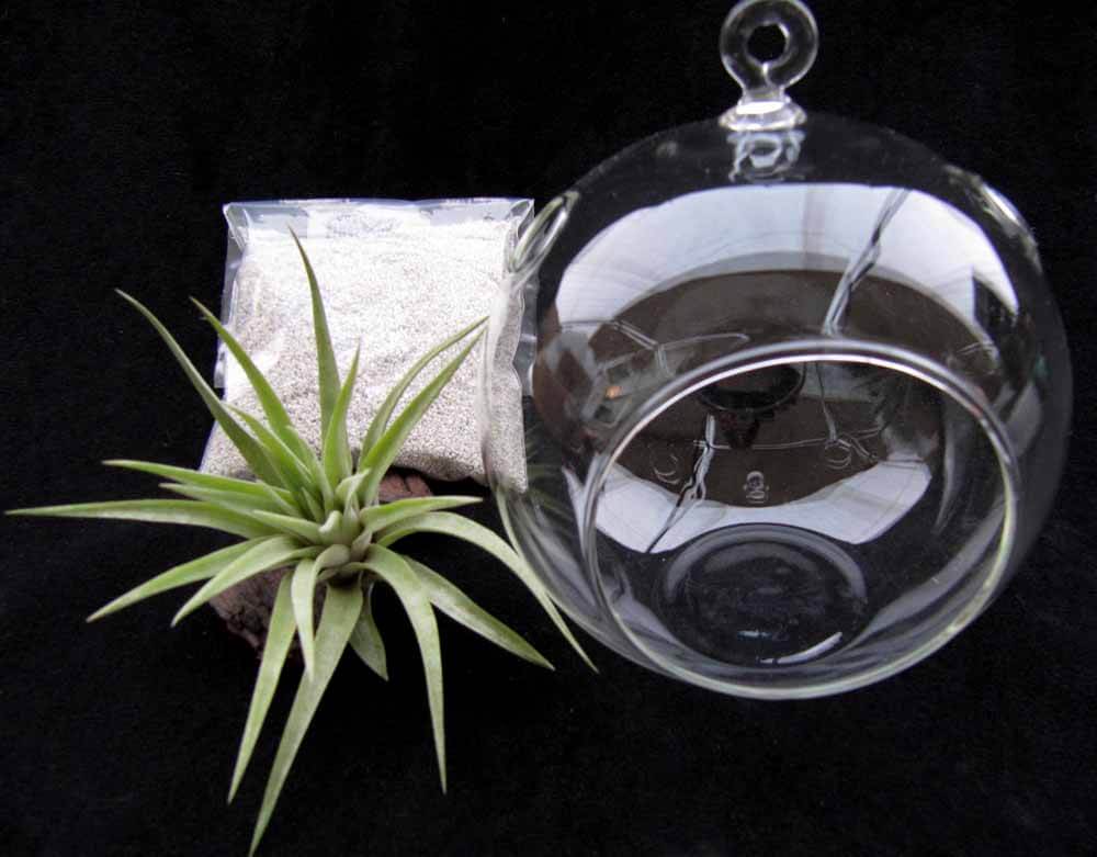 Hanging Glass Globe Kit - Image 2