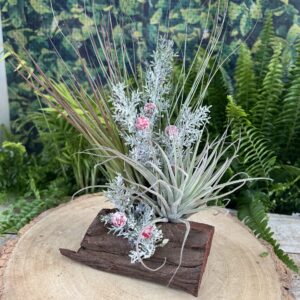 Christmas Festive Log